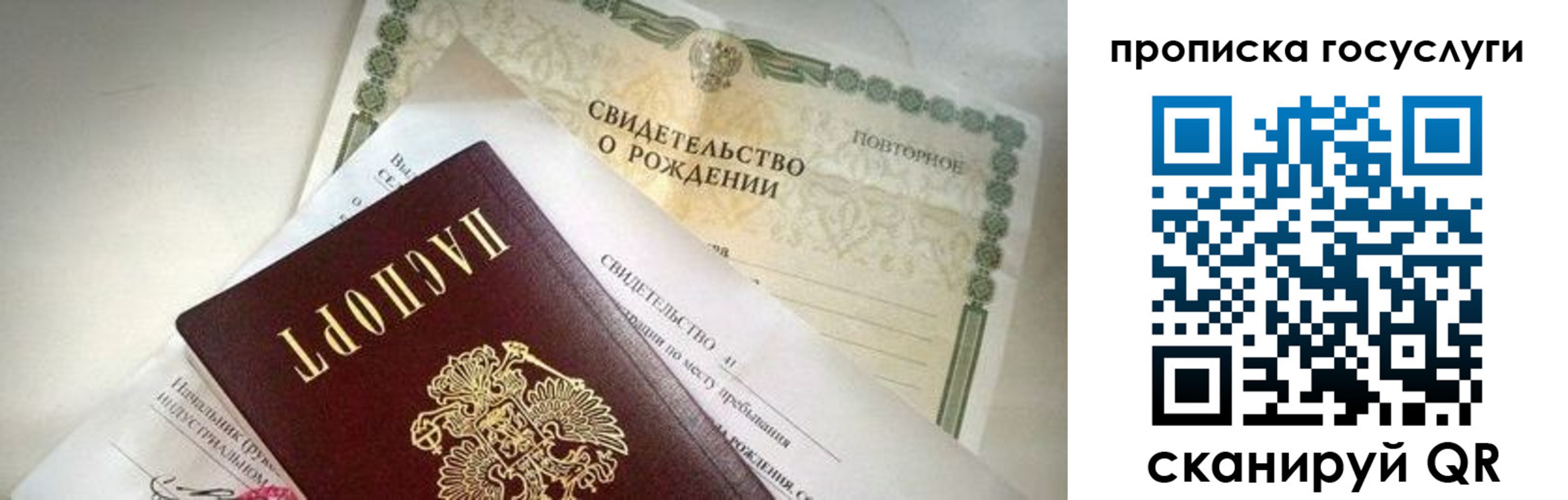 прописка ребенка в Владимире